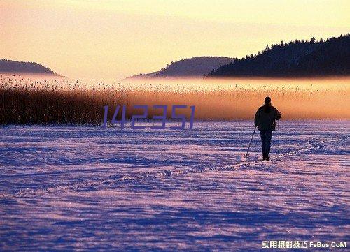 伊利集团网站建设