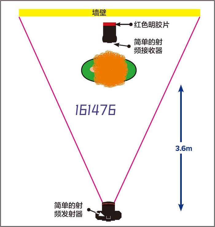 绘蛙