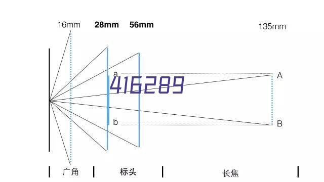 H44X(SFCV) 橡胶瓣止回阀