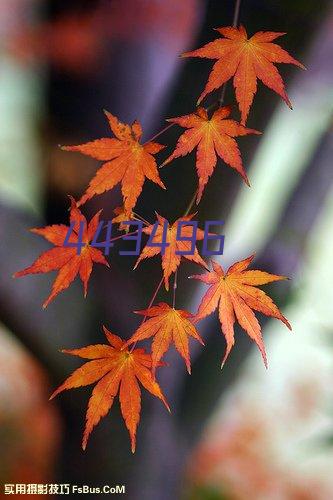 2023版全智能三层12头煲仔饭机