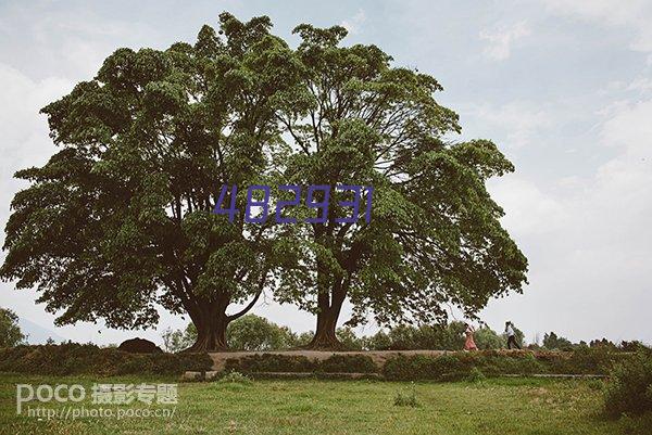 生物功能滤清器