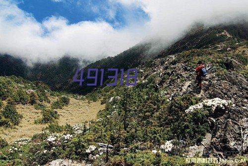 ZK星星绣花雪纺连衣裙中长款sukol裙少女心温柔超仙女chic裙子夏