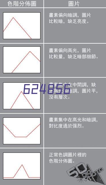 副会长  蒋昕