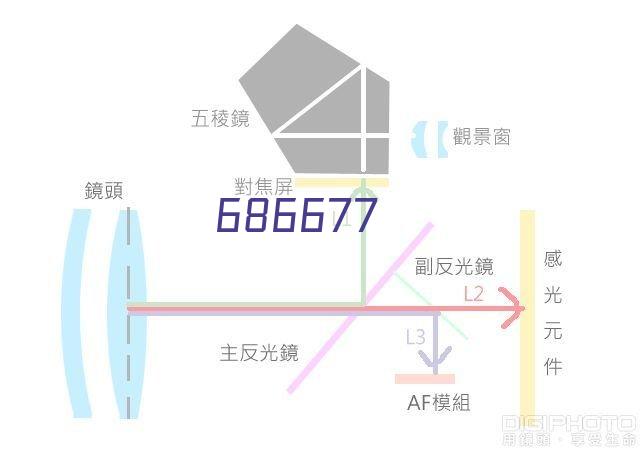 羊肚菌食谱分享，轻松掌握做法技巧