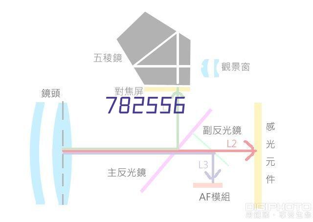 凤凰斗：丑后倾城