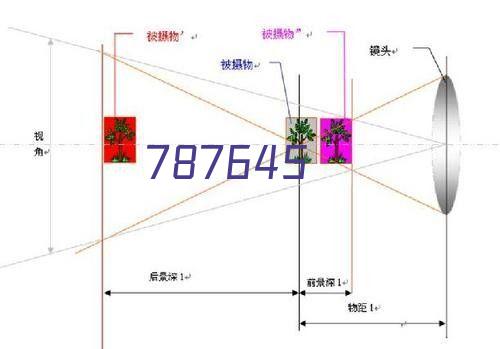 承欢记麦承欢