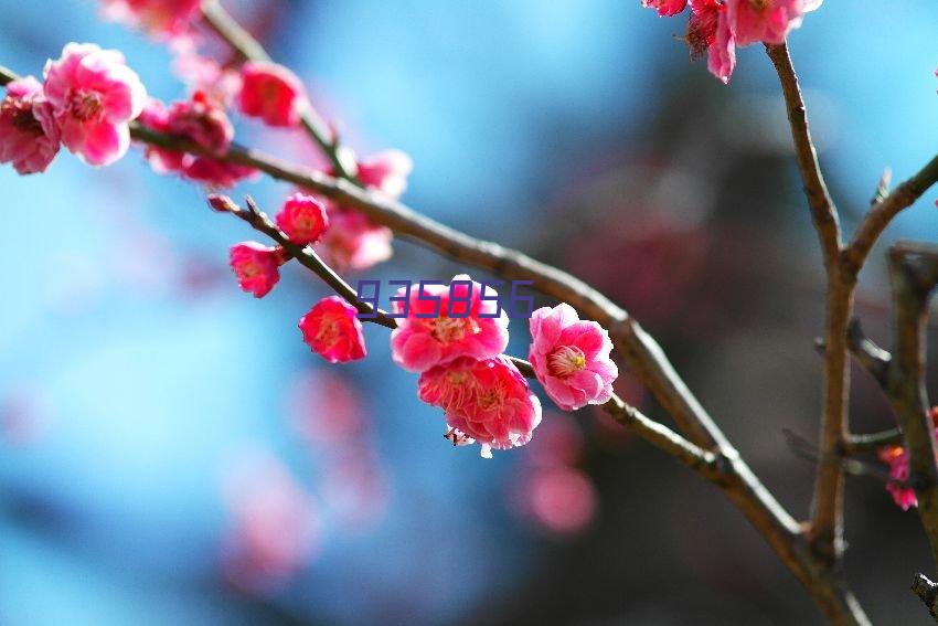 盛豪时代广场雨棚 